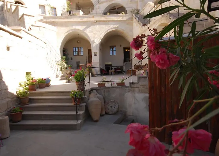 ヴェジール ケーブ スイーツ