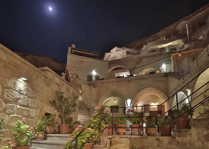 ヴェジール ケーブ スイーツ 2*